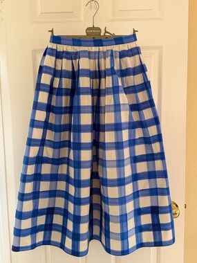 Zara White Top with Light Blue and white checker maxi skirt.